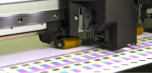 Полимерный принтер Roland AP-640